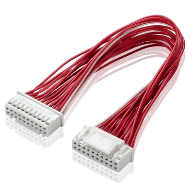 Pitch 2.00mm dual row terminal wire harness